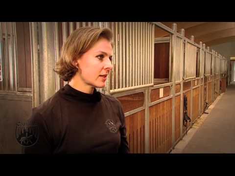 Loesdau Lessons: Basics mit Kati: Die richtige Reitausrüstung