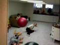 videos de R.O.B