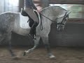zafiro25