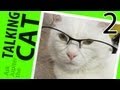 Talking Cat Answers Questions 2