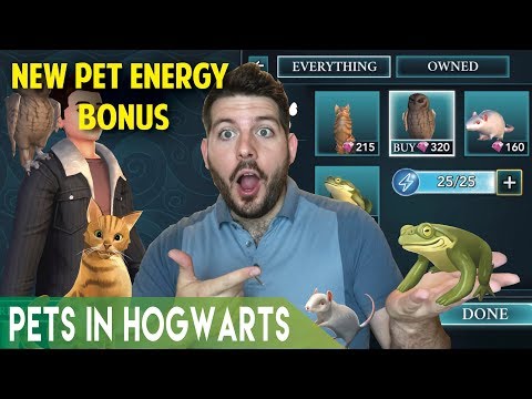 PETS IN HOGWARTS MYSTERY UNLIMITED ENERGY