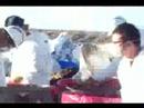 Landfill Cleanup1