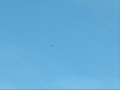 JAS 39 Gripen