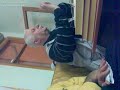Necmi Abi (Avcılar)