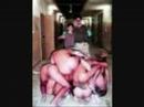 torture-senate-armed-services-comm-hearing.html