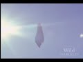 Terminal Velocity Terminal Velocity