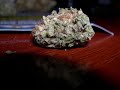Nice Pot Buds!