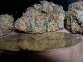 Nice Pot Buds!