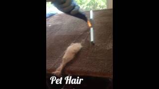 Best Pet Hair Tip!
