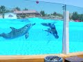 Selwo marina