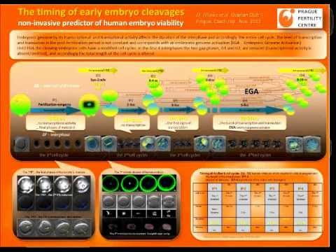 how to decide how many embryos to transfer