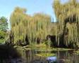 Claude Monet's garden&museum, Giverny in ...