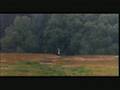 Monty Python Sacré Graal - Lancelot Attak