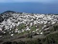 The Island of Capri The Island of Capri