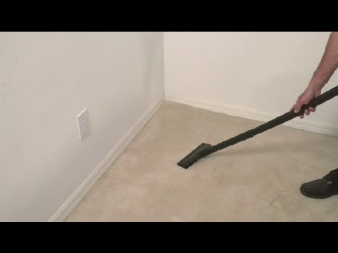 how to remove mold from carpet