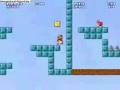 New Super Mario Bros.2?