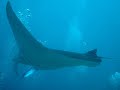 Diving In Maldives Lapoubel