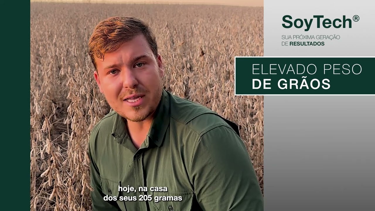 ST 541 I2X SoyTech®: excelente estabelecimento e alto PMG no Rio Grande do Sul