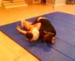 combat mdr!!!