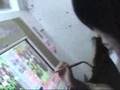 プリクラとXbox360