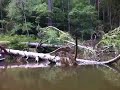 video1.mov Video video1.mov Video
