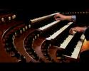 Xaver Varnus plays Franck at Saint Sulpice in Paris Part 1