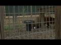 Conservator's Center: A home for every animal