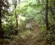 TheCat al Sassone di Bulgarot