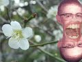 psychedelic music video animation for new zealand band thunderbox.