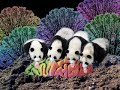 psychedelic music video animation for new zealand band thunderbox.