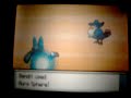 pokemon-pearl-wifi-battle-vs-aon.html