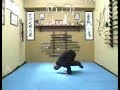 Gimnasia 3 Bujinkan Colombia