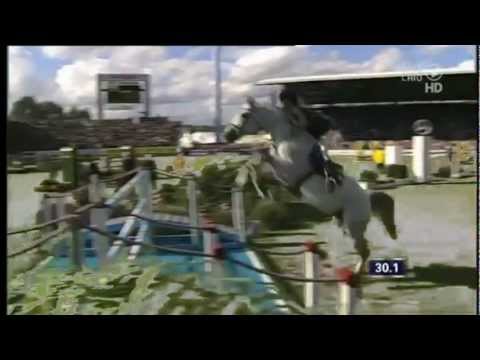 horses grand national horses grand national