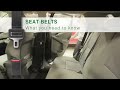 Seat Belts - What You Need to Know