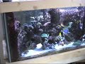 EcoSystem Miracle Mud Part 4