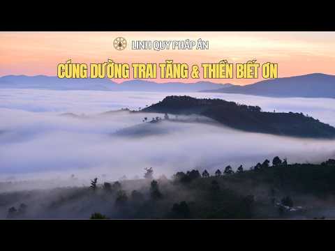 NIKAYA Đáp Từ Trai Tăng - Đạo Lộ Bình Đẳng