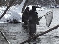 Gargoyle Hole Steelhead
