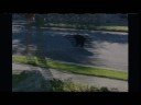 Bear in Neighbourhood