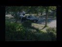 Bear in Neighbourhood