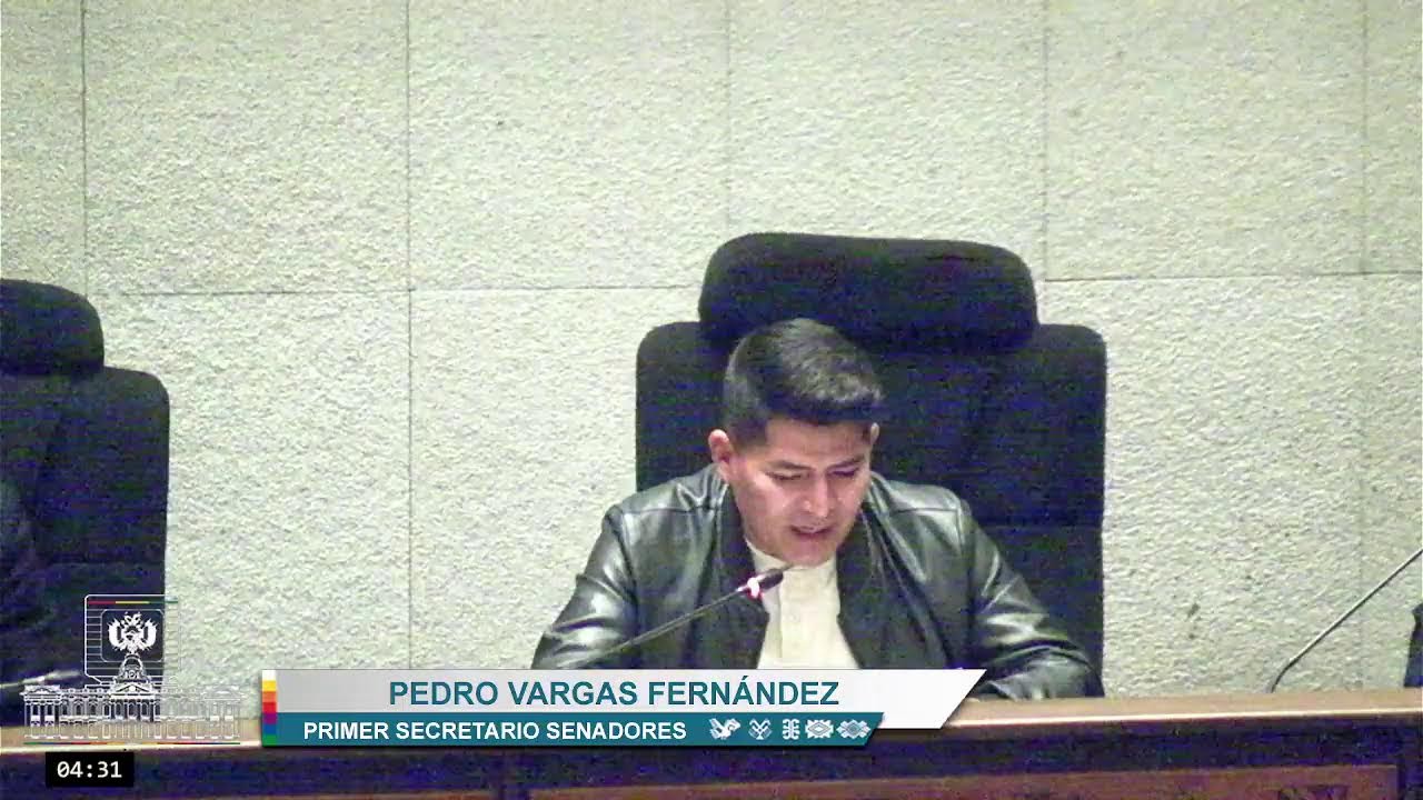 Décima Tercera Sesión Ordinaria - 31/10/24