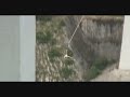 Bungee Affo 01-08-08