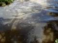 videos de viagem joanopolis 012.mpg pulando no rio