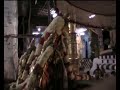 Devaperumal Utsavam Devaperumal Utsavam