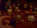 pet shop