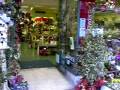 Wickford Interflora