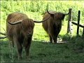 PHOTOS  DIAPORAMA  DE  L'ECOSSE
