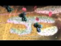 Apoptosis and Signal Transduction (Drew Berry, 2006)