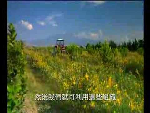 amway安利Nutrilite紐崔萊Farm農場(Mexico墨西哥)