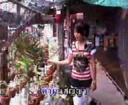 Thai bird flu prevention songs