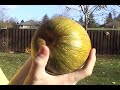 The amount of fun you can have with a pneumatic cannon is limited only by your creativity in coming up with stuff to put down the barrel. Demonstrational video. Feel the power.